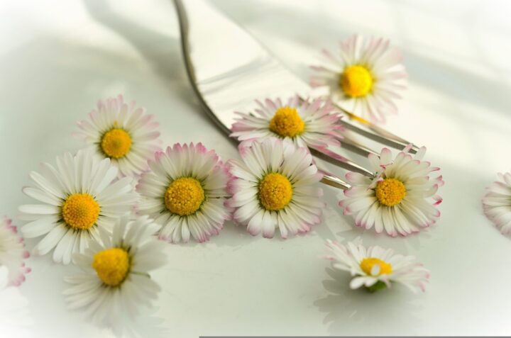 Edible Flowers